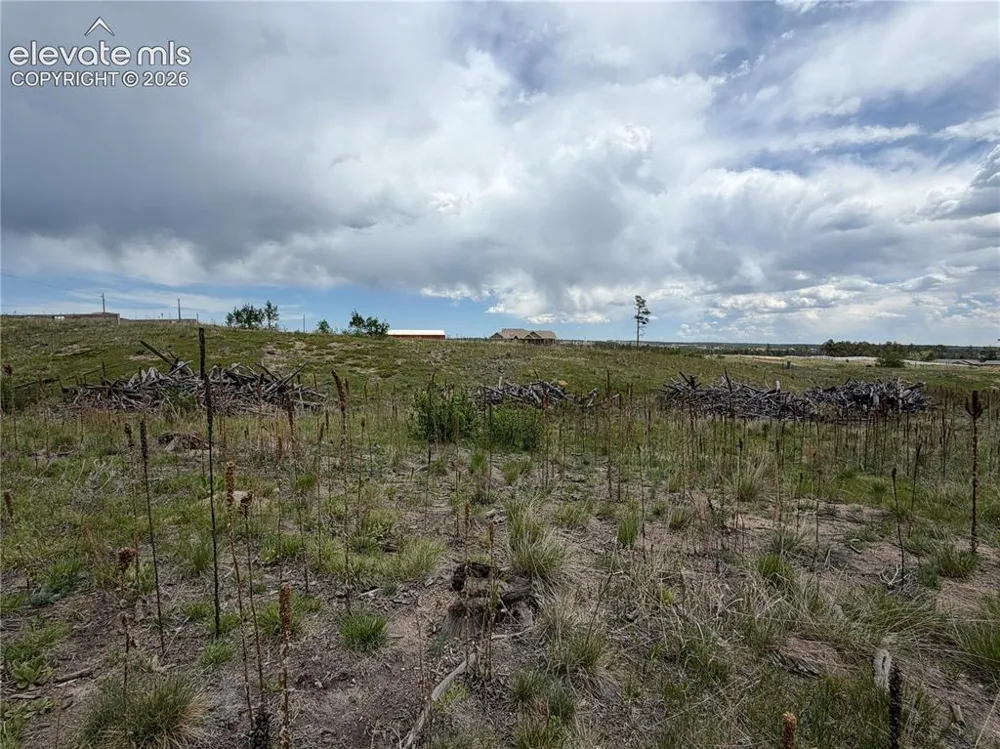 13810 Wildoak Drive Black Forest, CO 80908
