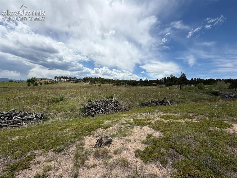 13810 Wildoak Drive Black Forest, CO 80908