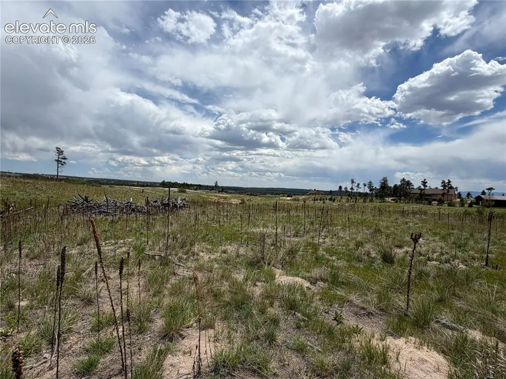 13810 Wildoak Drive Black Forest, CO 80908
