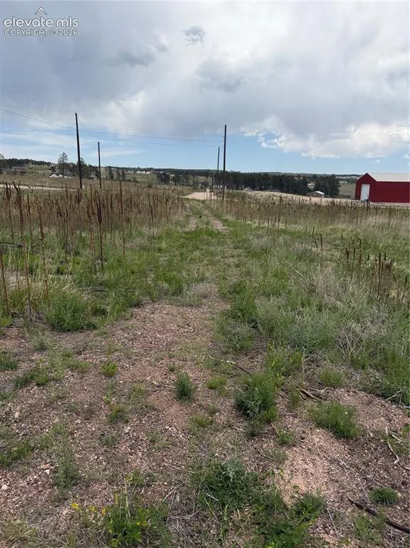 13810 Wildoak Drive Black Forest, CO 80908