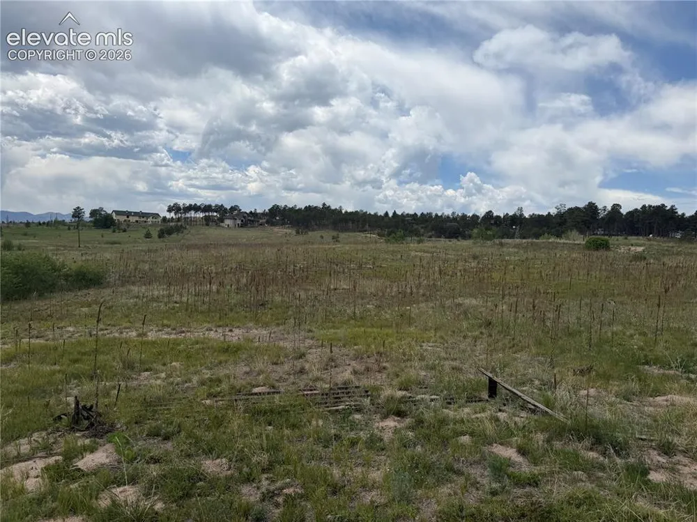 13810 Wildoak Drive Black Forest, CO 80908