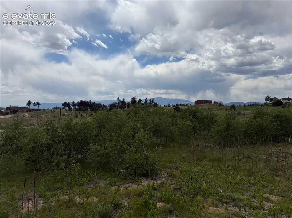 13810 Wildoak Drive Black Forest, CO 80908