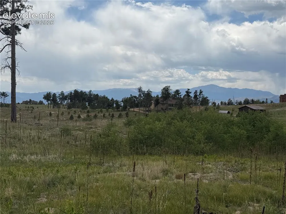 13810 Wildoak Drive Black Forest, CO 80908