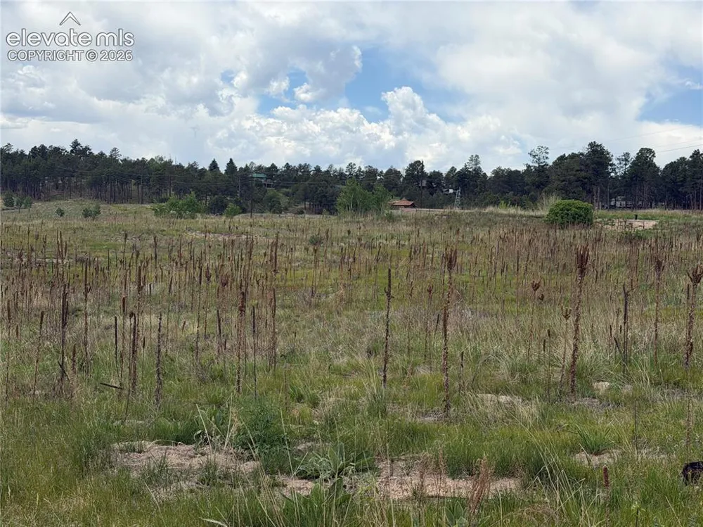 13810 Wildoak Drive Black Forest, CO 80908