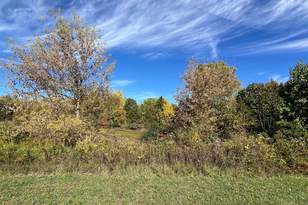 5577 Cannon Meadows Drive Ada, MI 49301