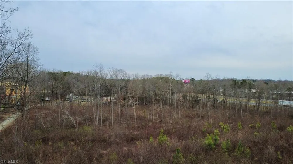 0 Bill Medlin Road Lexington, NC 27292