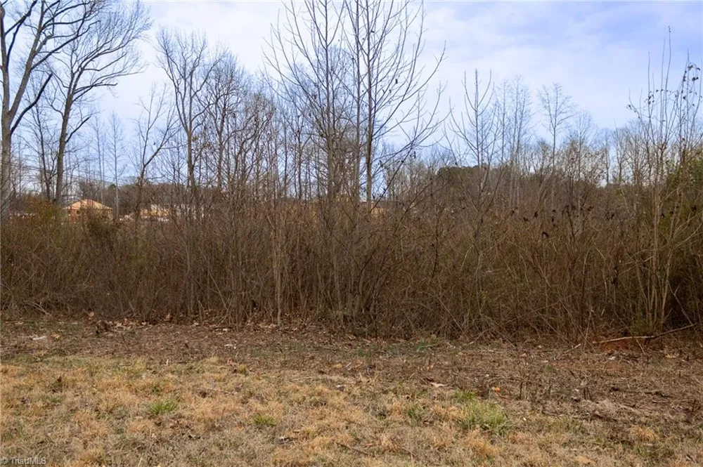 0 Bill Medlin Road Lexington, NC 27292