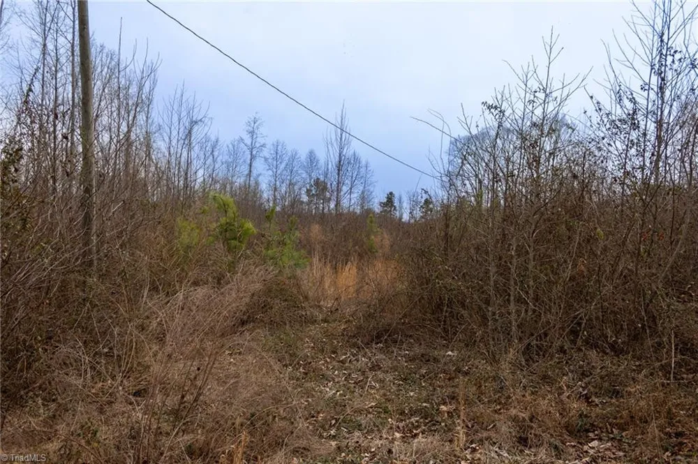 0 Bill Medlin Road Lexington, NC 27292