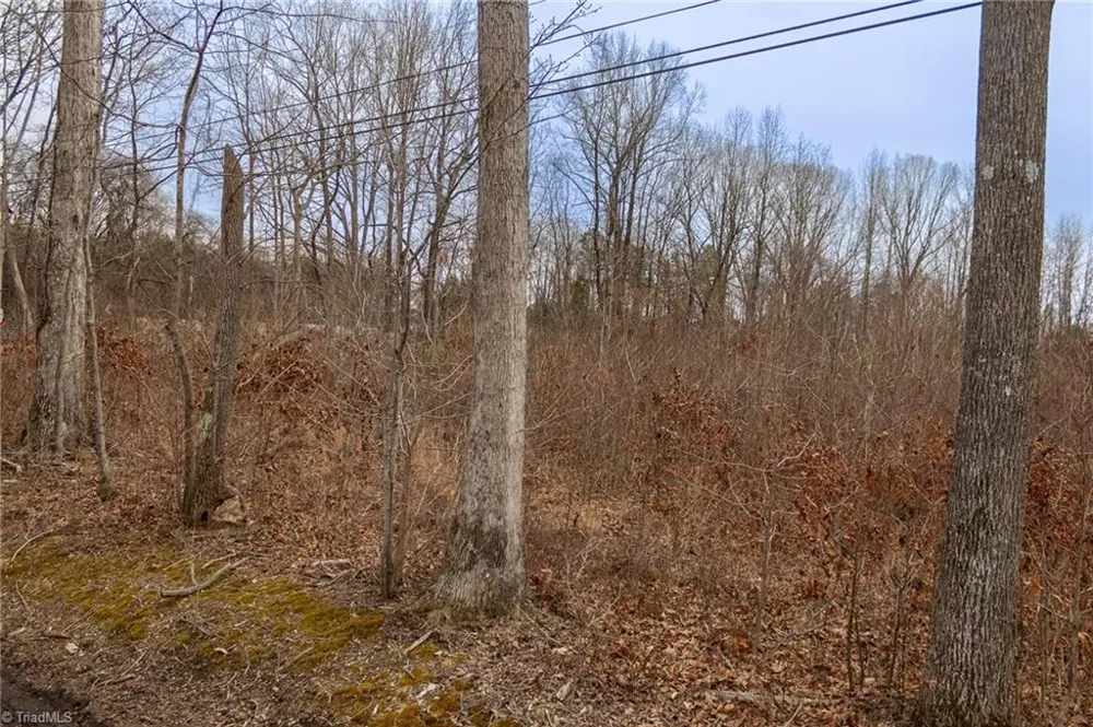 0 Bill Medlin Road Lexington, NC 27292