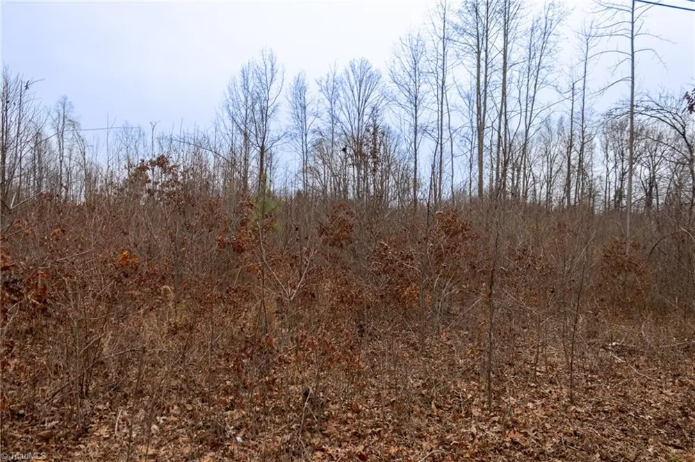 0 Bill Medlin Road Lexington, NC 27292