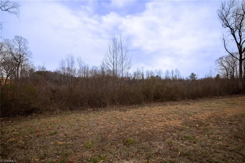0 Bill Medlin Road Lexington, NC 27292