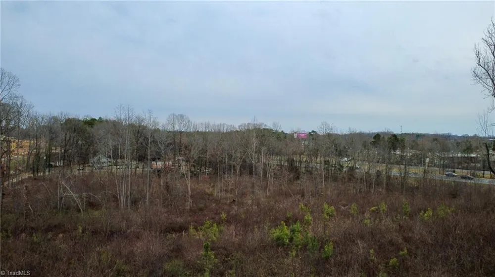 0 Bill Medlin Road Lexington, NC 27292