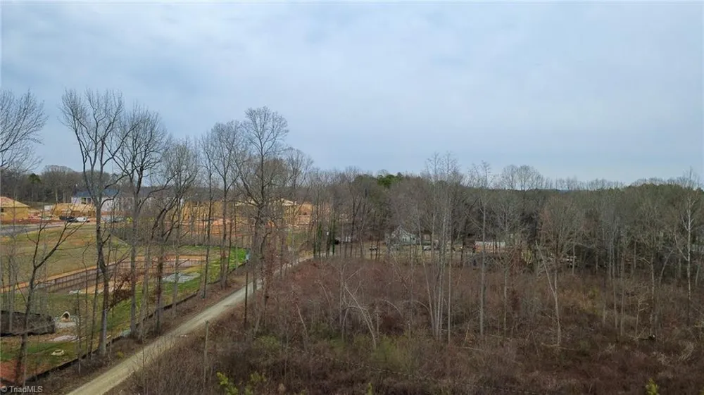 0 Bill Medlin Road Lexington, NC 27292