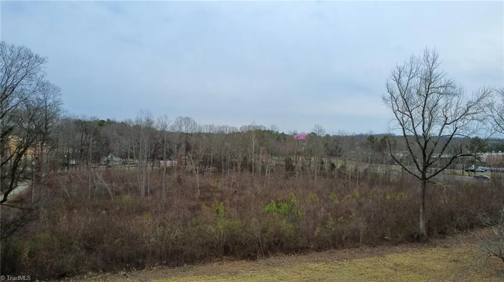 0 Bill Medlin Road Lexington, NC 27292