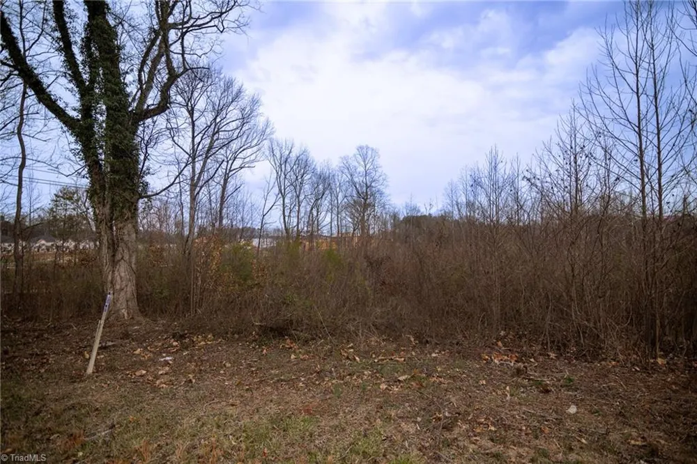 0 Bill Medlin Road Lexington, NC 27292
