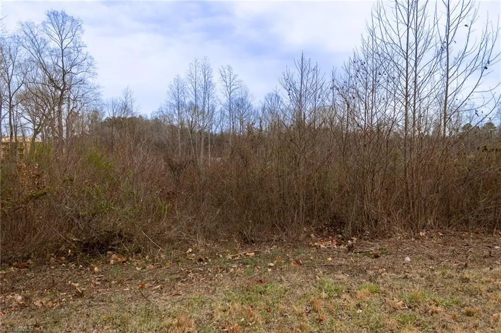 0 Bill Medlin Road Lexington, NC 27292
