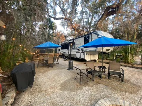 313 GATOR ALLEY