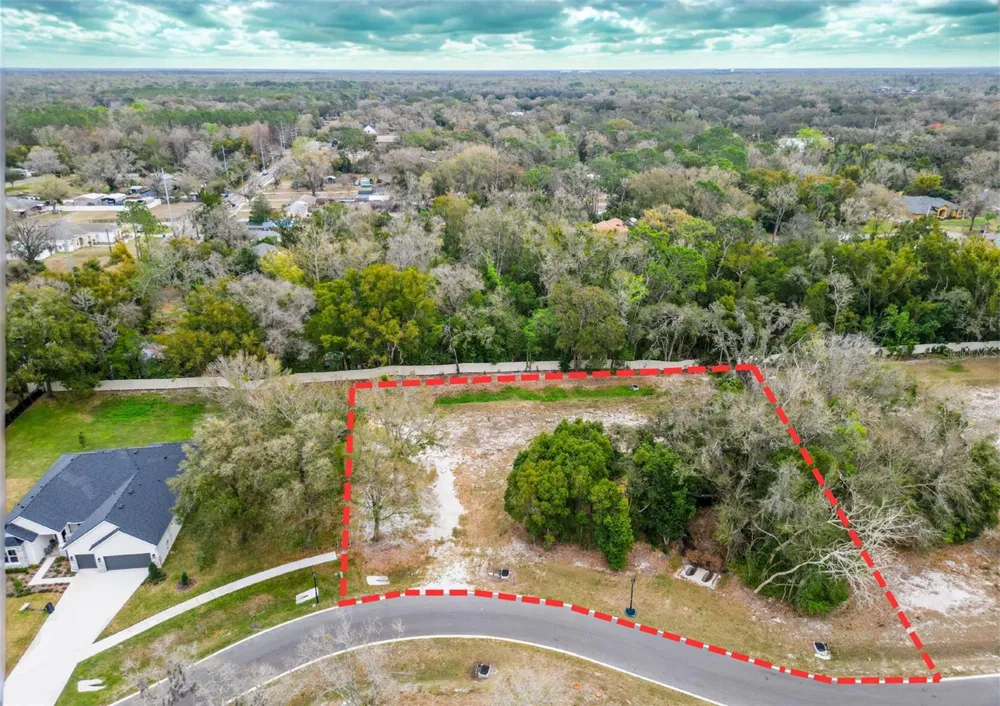 18469 PURPLE CREEK LANE Lutz, FL 33549