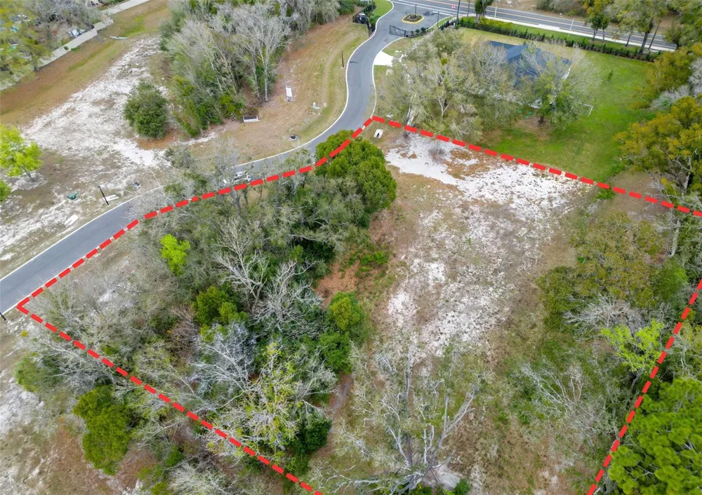 18469 PURPLE CREEK LANE Lutz, FL 33549