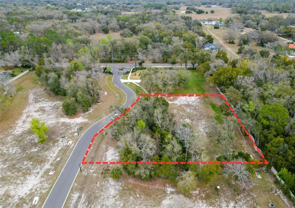 18469 PURPLE CREEK LANE Lutz, FL 33549