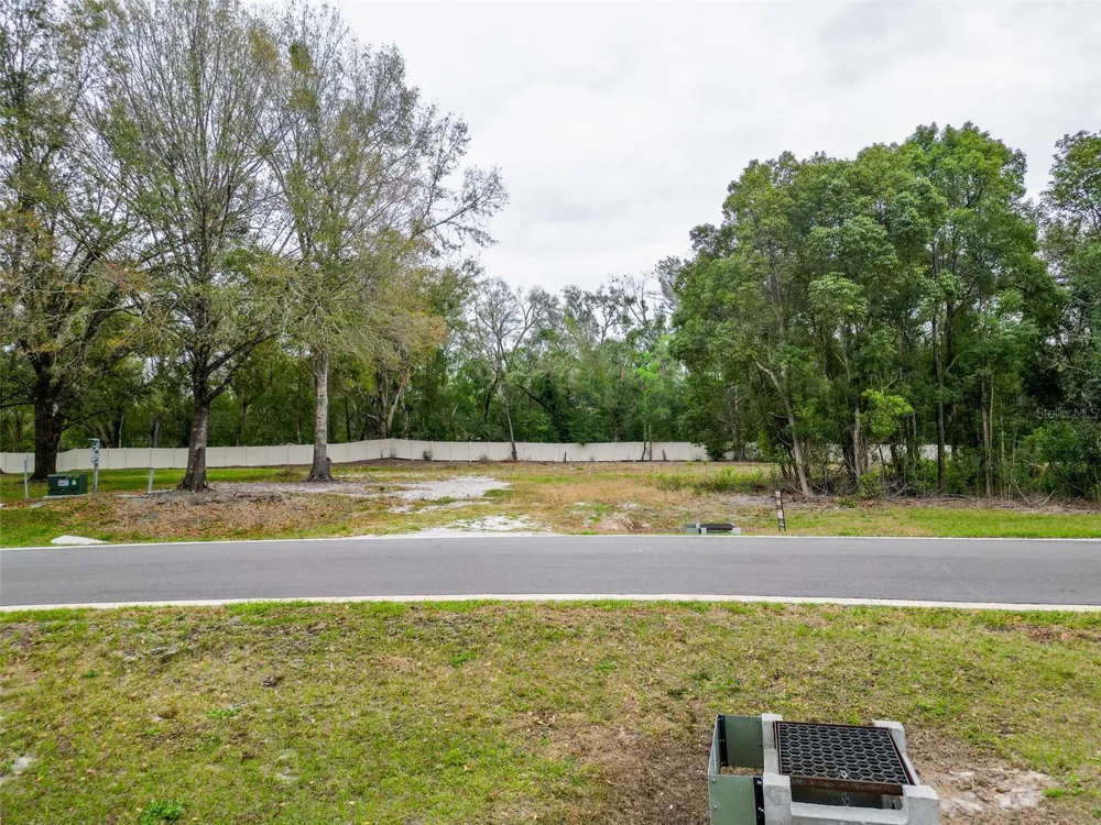 18469 PURPLE CREEK LANE Lutz, FL 33549