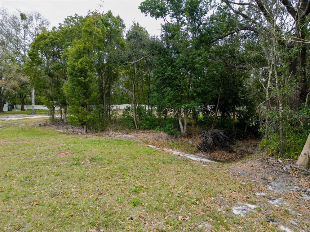 18469 PURPLE CREEK LANE Lutz, FL 33549