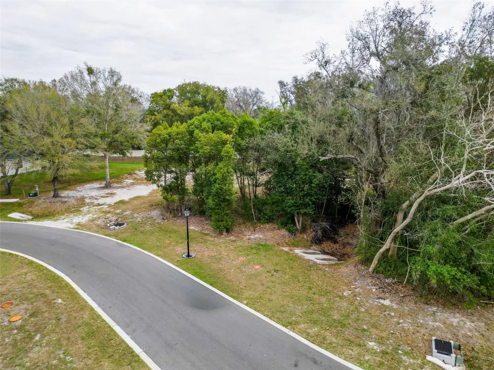 18469 PURPLE CREEK LANE Lutz, FL 33549