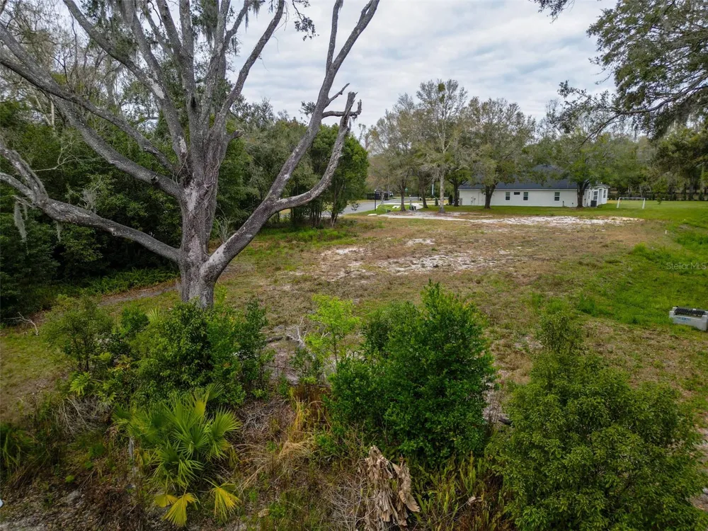 18469 PURPLE CREEK LANE Lutz, FL 33549