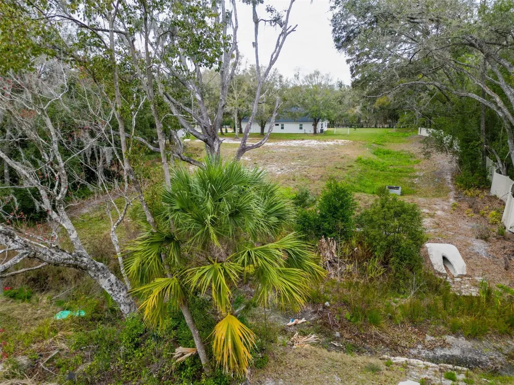 18469 PURPLE CREEK LANE Lutz, FL 33549