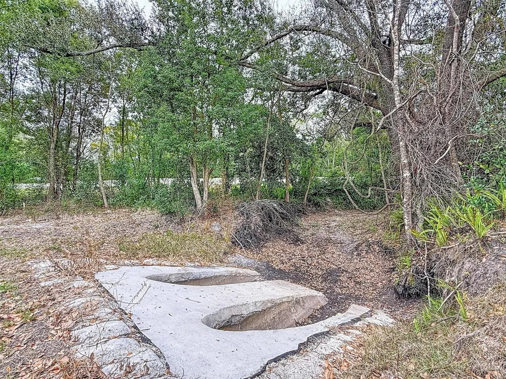 18469 PURPLE CREEK LANE Lutz, FL 33549
