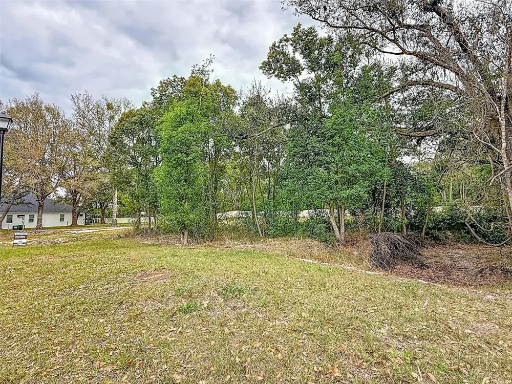 18469 PURPLE CREEK LANE Lutz, FL 33549