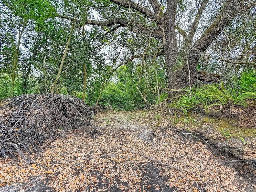 18469 PURPLE CREEK LANE Lutz, FL 33549