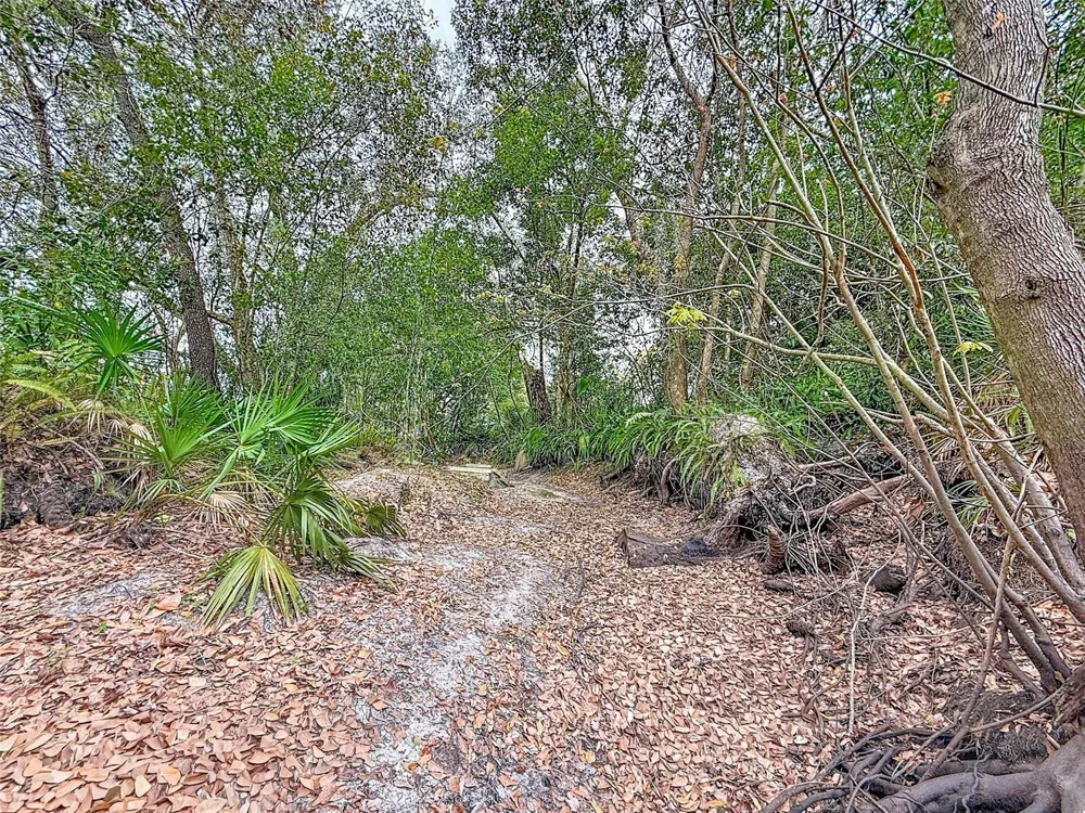 18469 PURPLE CREEK LANE Lutz, FL 33549