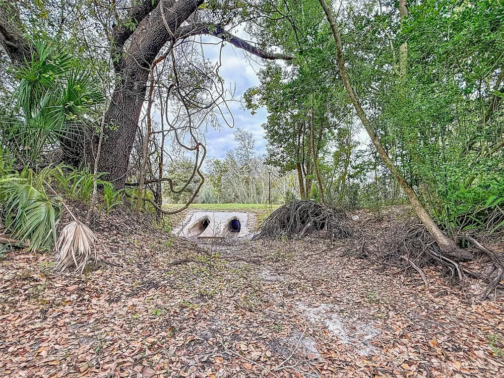 18469 PURPLE CREEK LANE Lutz, FL 33549
