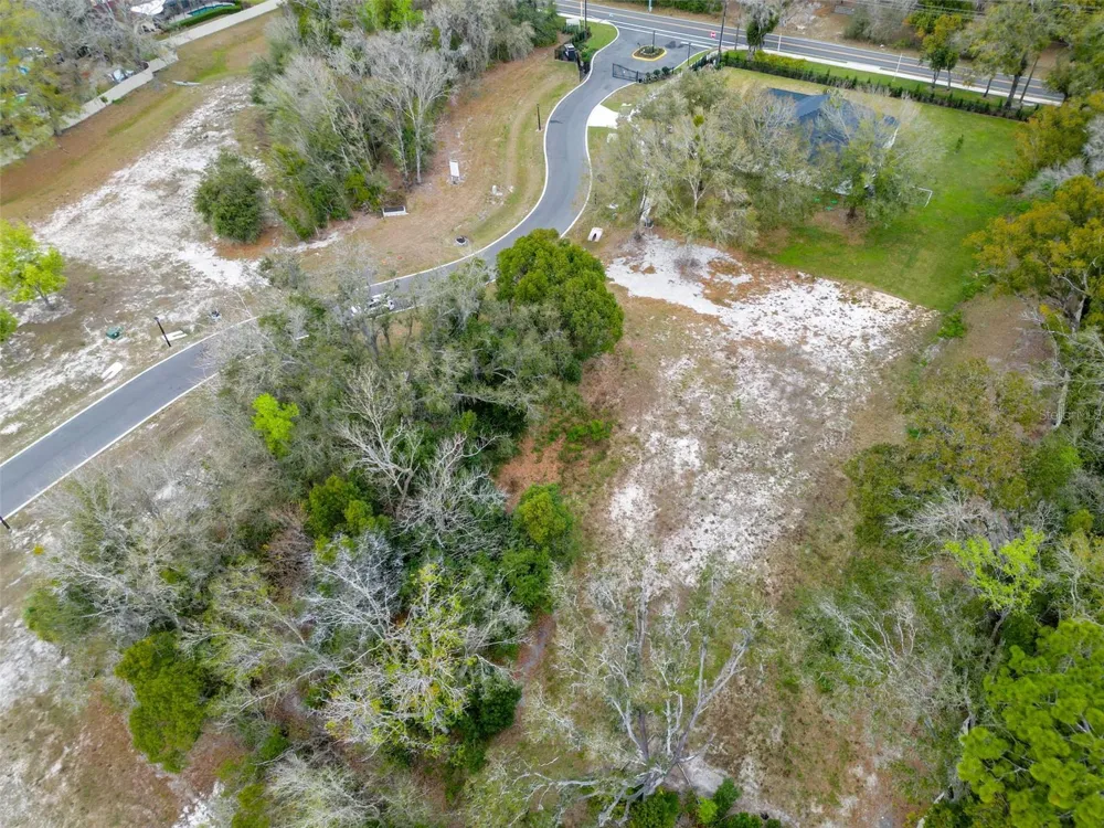 18469 PURPLE CREEK LANE Lutz, FL 33549