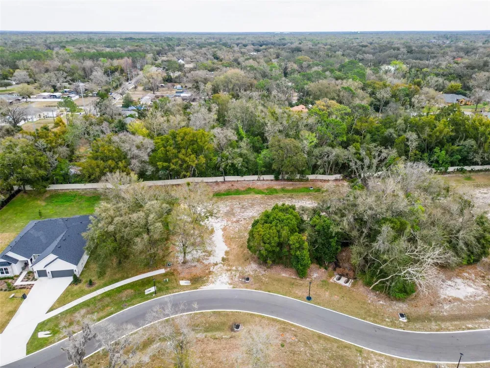 18469 PURPLE CREEK LANE Lutz, FL 33549