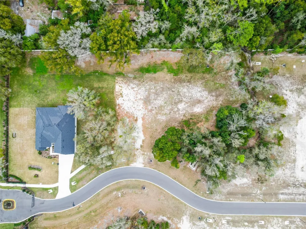 18469 PURPLE CREEK LANE Lutz, FL 33549