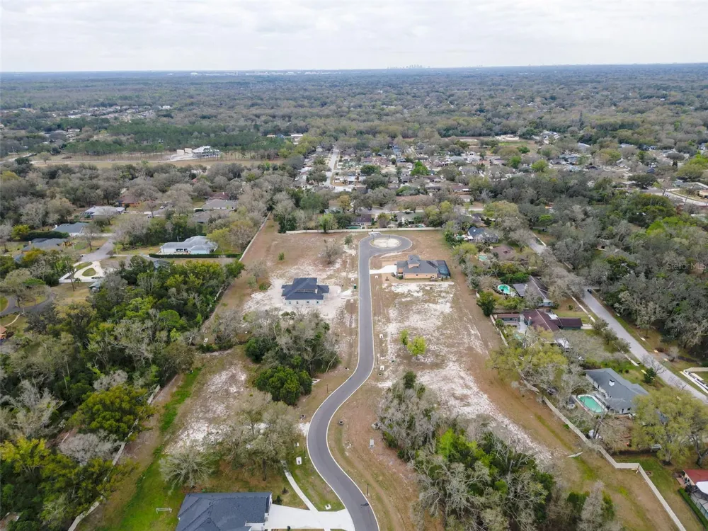 18469 PURPLE CREEK LANE Lutz, FL 33549