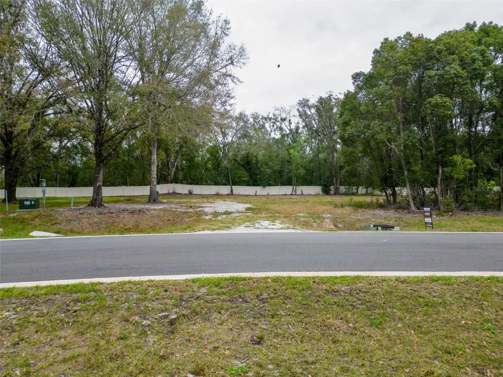 18469 PURPLE CREEK LANE Lutz, FL 33549