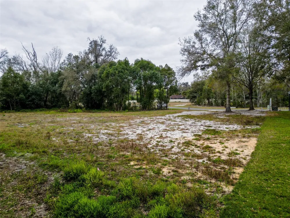 18469 PURPLE CREEK LANE Lutz, FL 33549