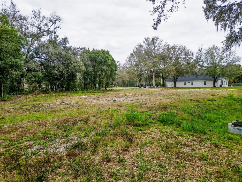 18469 PURPLE CREEK LANE Lutz, FL 33549