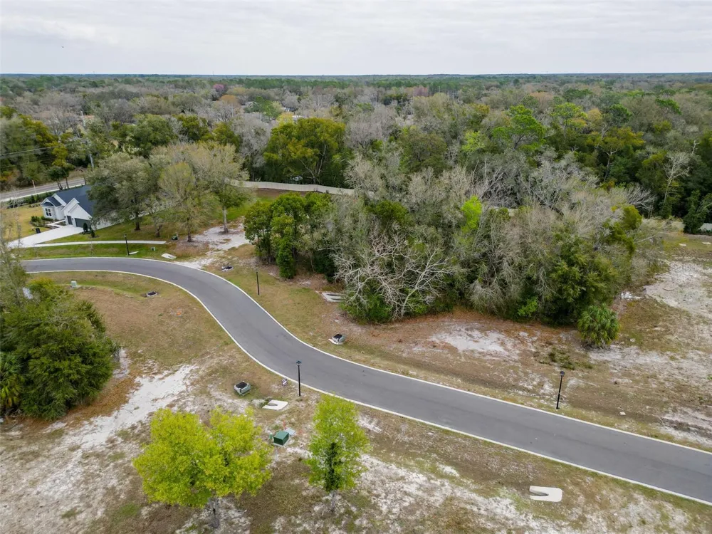 18469 PURPLE CREEK LANE Lutz, FL 33549