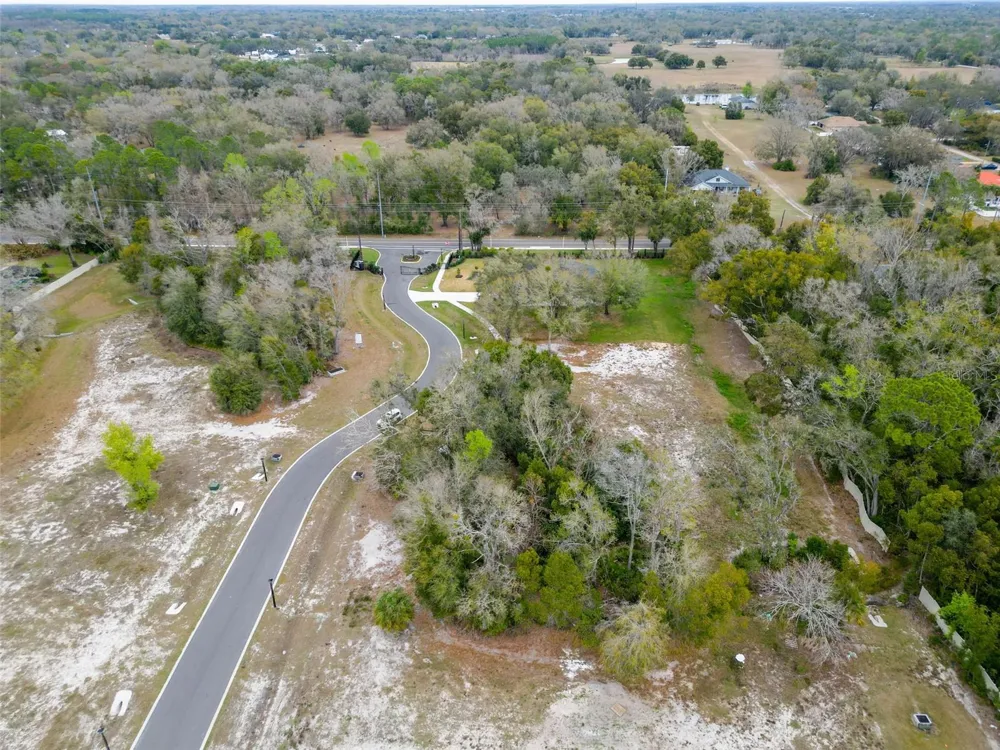 18469 PURPLE CREEK LANE Lutz, FL 33549