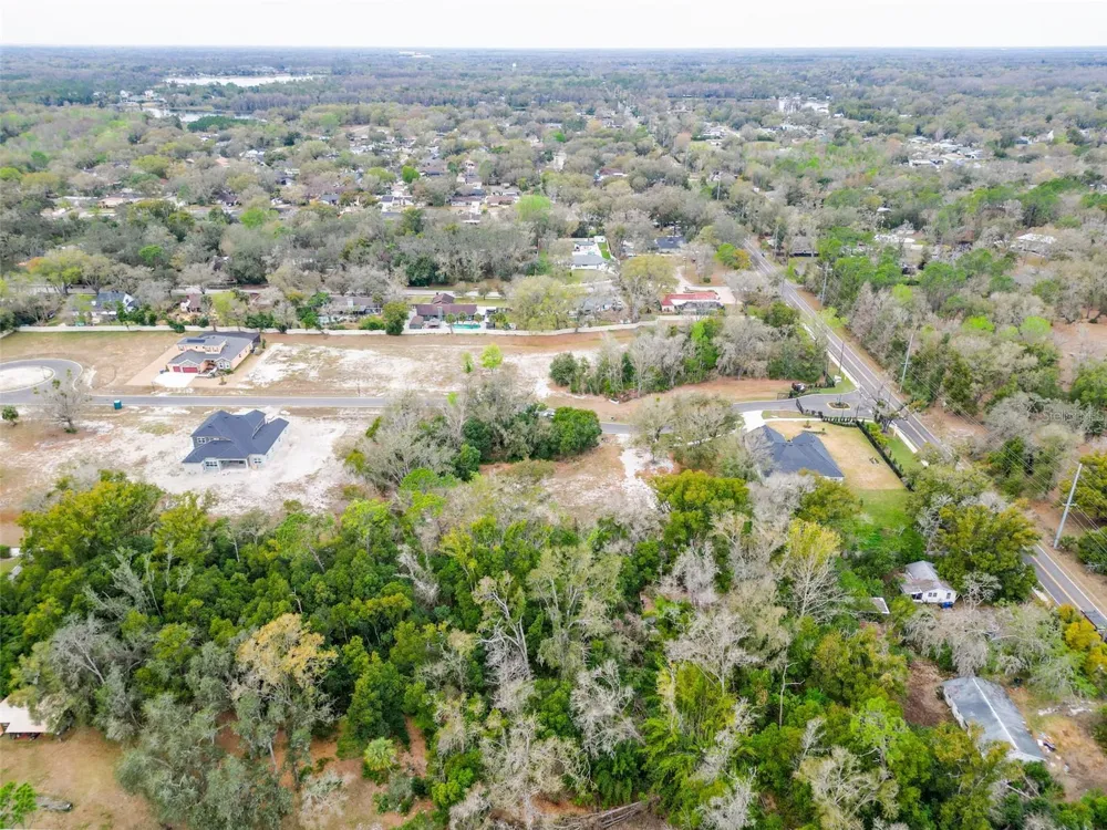 18469 PURPLE CREEK LANE Lutz, FL 33549