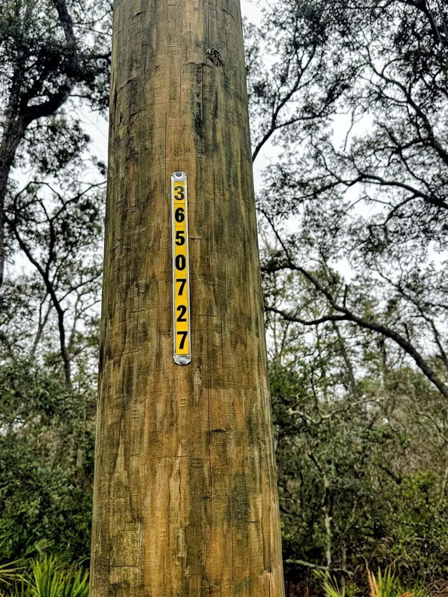 TBD OFF RIVERVIEW ROAD #9 Fanning Springs, FL 32693