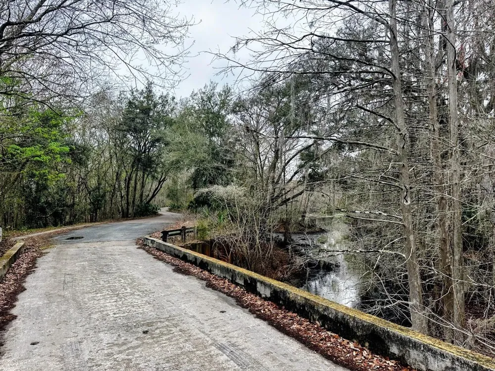 TBD OFF RIVERVIEW ROAD #9 Fanning Springs, FL 32693