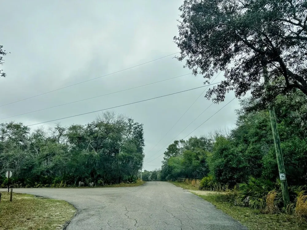 TBD OFF RIVERVIEW ROAD #9 Fanning Springs, FL 32693