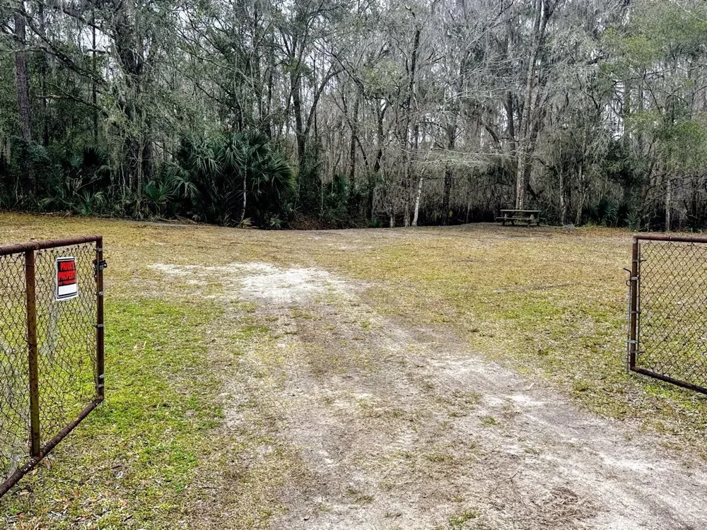 TBD OFF RIVERVIEW ROAD #9 Fanning Springs, FL 32693