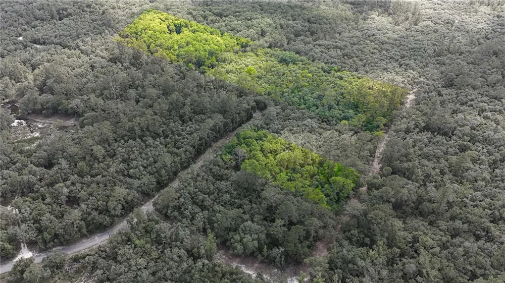 TBD OFF RIVERVIEW ROAD #9 Fanning Springs, FL 32693
