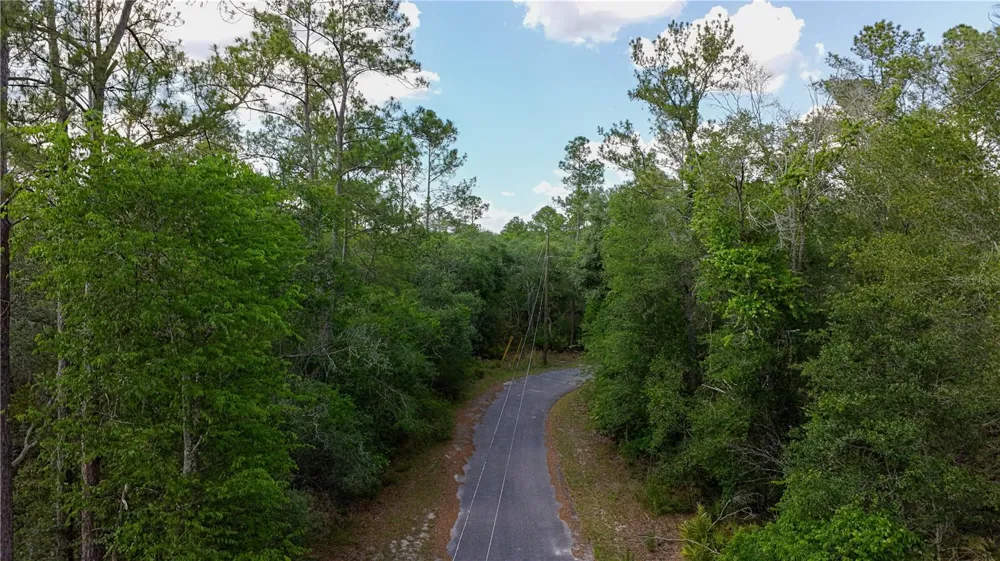 TBD OFF RIVERVIEW ROAD #9 Fanning Springs, FL 32693